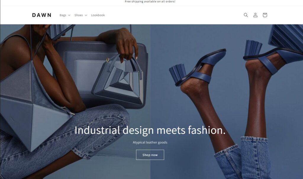 Shopify theme selection overview